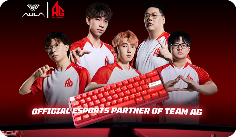 Official Esports Partner of Team AG